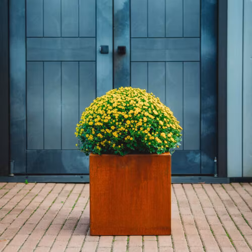 Clara L – blomkruka i cortenstål