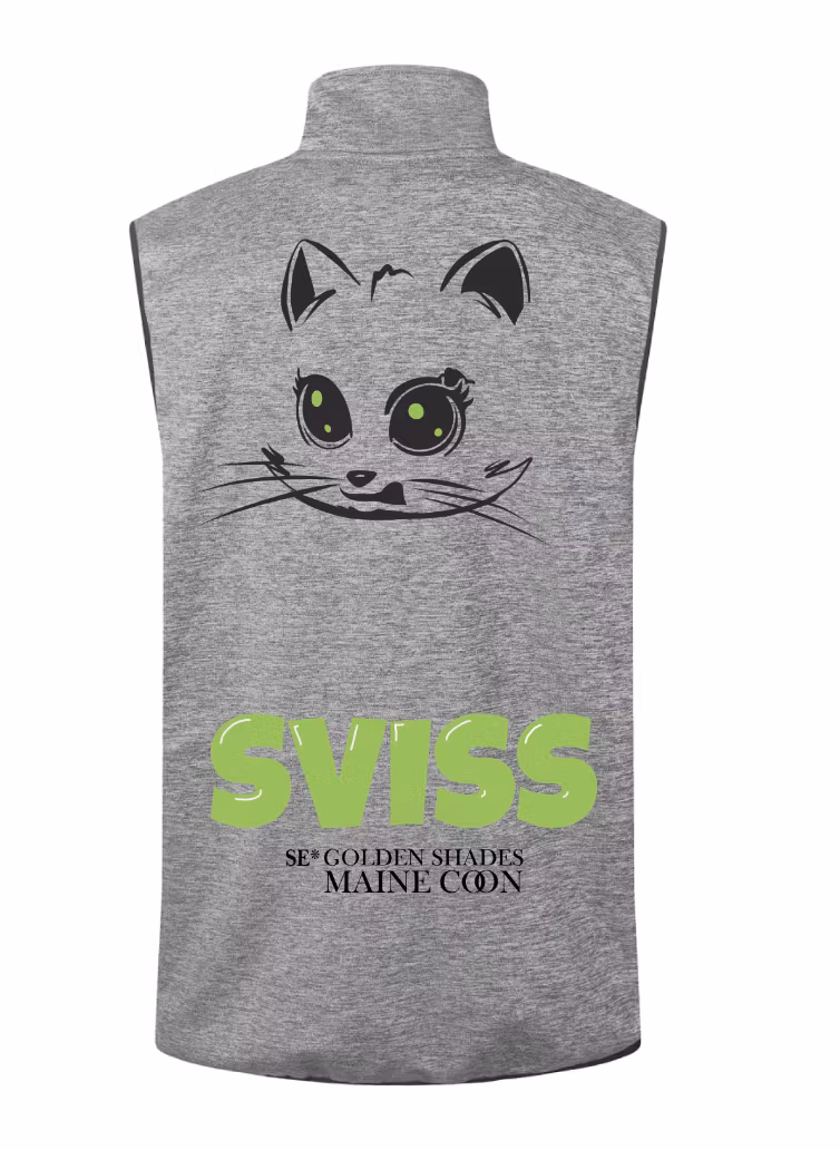 Väst