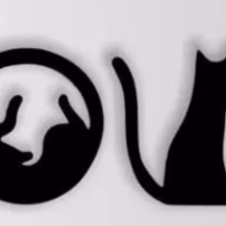 Väggkonst Cat - Love