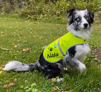 Reflexväst Hund
