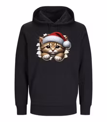 Unisex Hood Julkatt 3