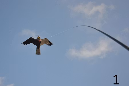 Drake Svart. Ord pris 390 kr.