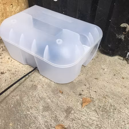 Råttfälla Hygienisk.