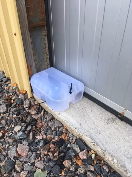 Råttfälla Hygienisk.