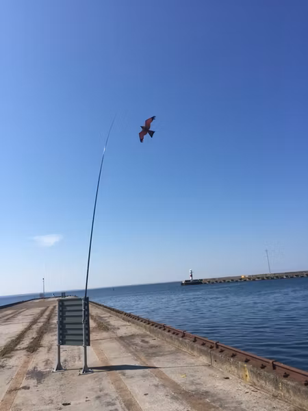 Fågelskrämma Komplett med drake 6 meter. Fraktfritt