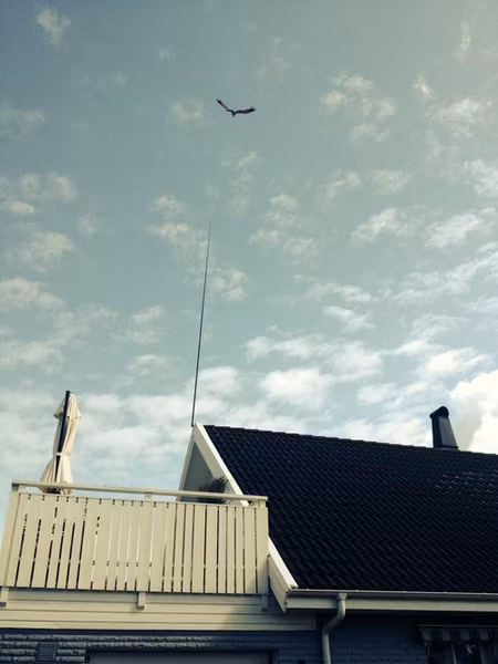 Fågelskrämma Komplett med drake 7 m. Fraktfritt