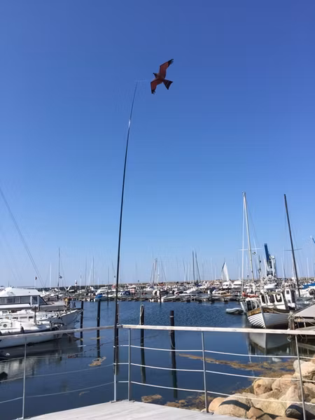 Fågelskrämma med drake 1 st 7 meter med 1 st boll. Fraktfritt