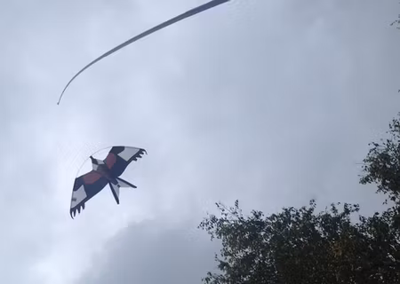 Fågelskrämma med drake 1 st 7 meter med 1 st boll. Fraktfritt