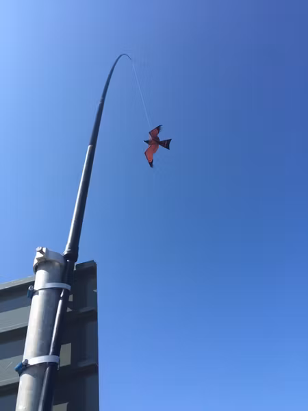 Fågelskrämmor med drake 3 st 7 meter. Fraktfritt
