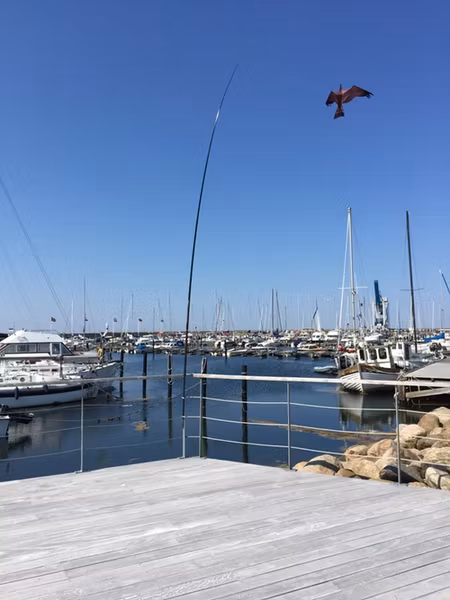 Fågelskrämmor med drake 3 st 7 meter. Fraktfritt