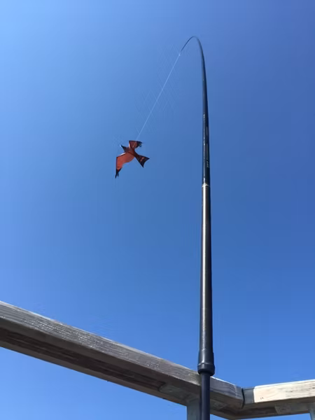 Fågelskrämmor med drake 3 st kompletta 5 m. Fraktfritt