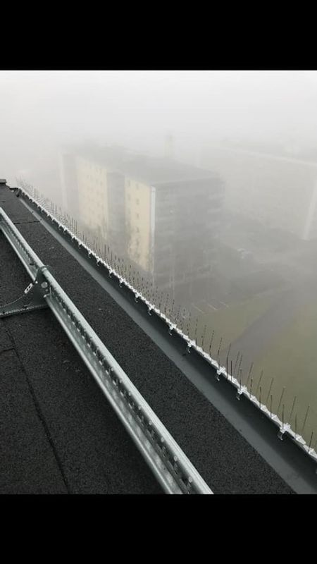 fågelpiggar 10 meter P14