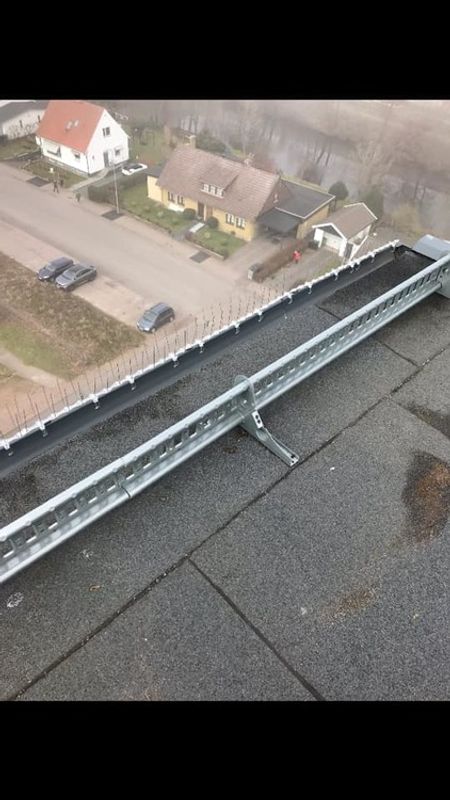 fågelpiggar 10 meter P14