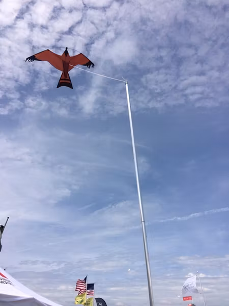 Fågelskrämma 3 st Aluminium med drake 3 m Fraktfritt