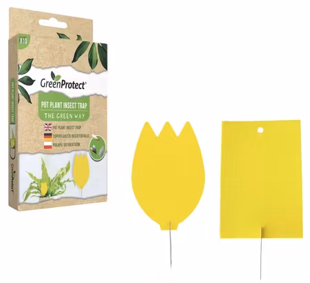 Pot Plant Insektsfälla, skiljer lite i utseende än på bilden