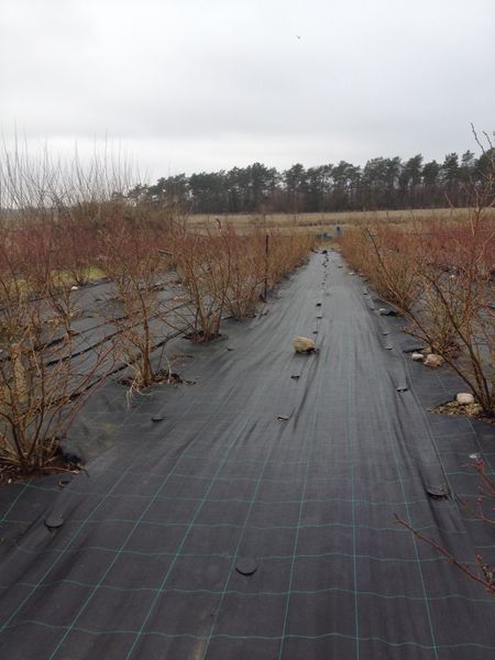 Markväv . 100 meter x 0,9 m. Hög kvalité. Fraktfritt