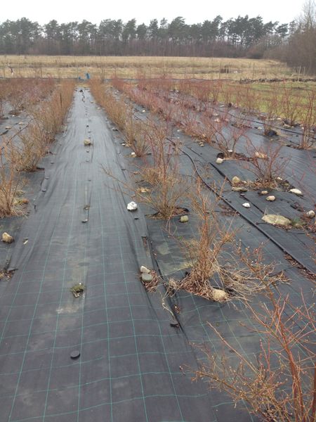 Markväv . 100 meter x 0,9 m. Hög kvalité. Fraktfritt