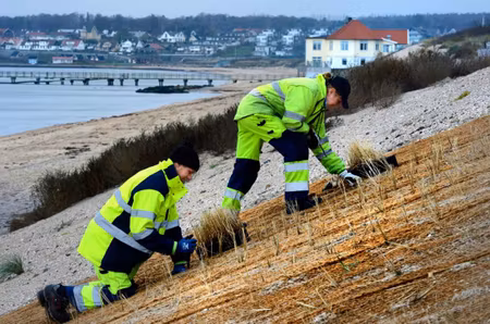 Kokosnät 2 x 50 meter på bal 740 g / m²