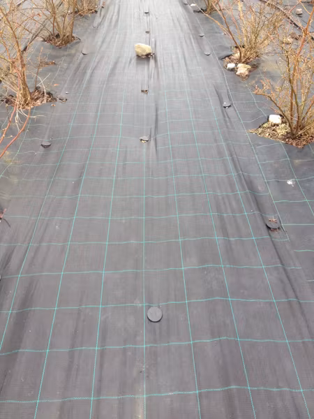 Markväv löpmeter x 1,25  m bred. Hög kvalité. Fraktfritt