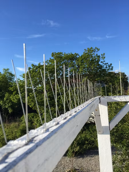 Kopia fågelpiggar 1 meter P14