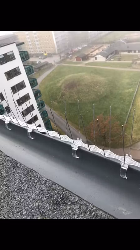 Kopia fågelpiggar 1 meter P14