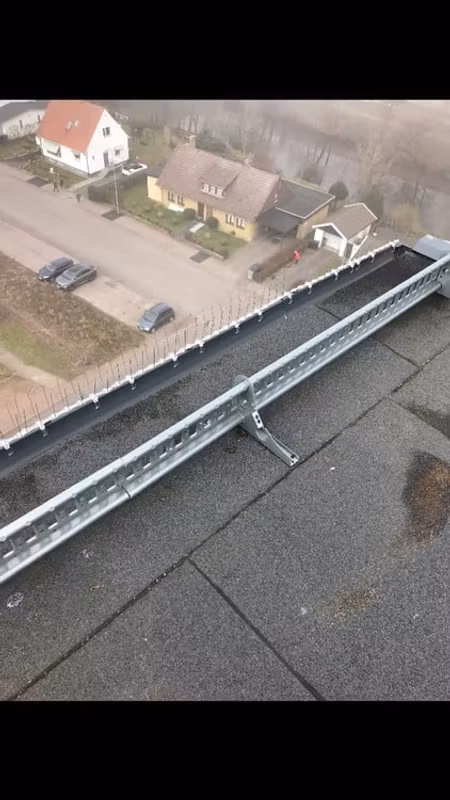 Kopia fågelpiggar 1 meter P14