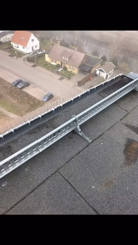 Fågelpiggar 50 meter P14