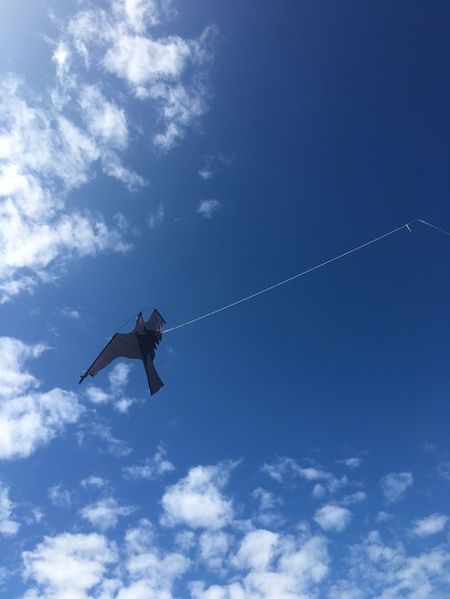 Fågelskrämma 5 meters med drake. Fraktfritt.