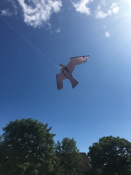 Fågelskrämma 5 meters med drake. Fraktfritt.