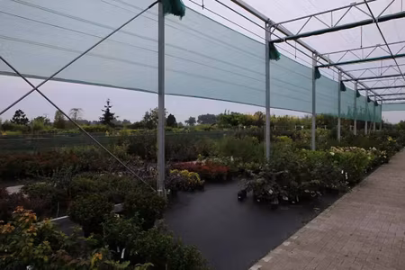 Skuggnät på löpmeter 3,12 m bred 50 % skuggvärde