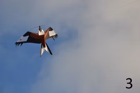 Drake 2 st reserv. Fraktfritt. Ord pris 780 kr