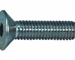 M10 FörsÀnkt insexskruv rostfri A4 ISO 10642 / DIN 7991