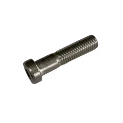 M16 Insexskruv låg skalle rostfri A4 DIN 7984