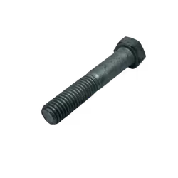 Varmförzinkad Skruv M10 Delgängad