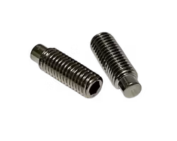 Stoppskruv Tapp A4 T6SS ISO 4028