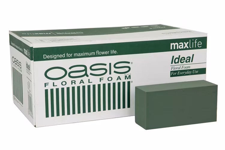 Oasis