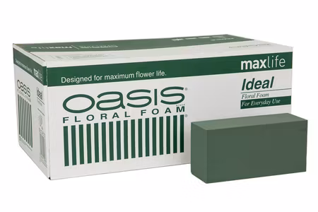 Oasis