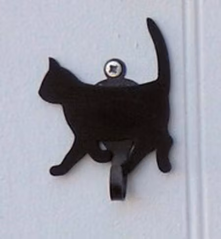 Krok katt