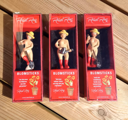 Rakel Rask blomsticks