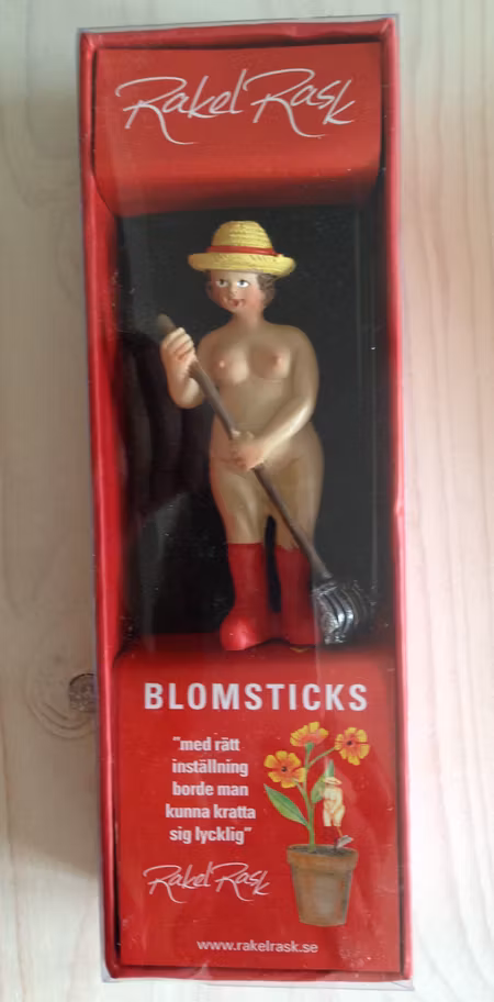 Rakel Rask blomsticks