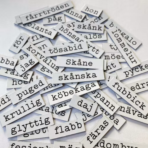 Kylskåpspoesi text skånska ord