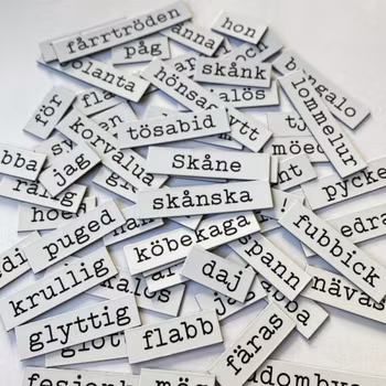 Kylskåpspoesi på skånska