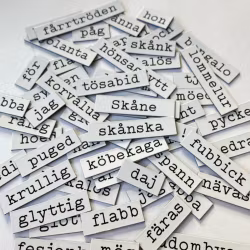 Kylskåpspoesi på skånska