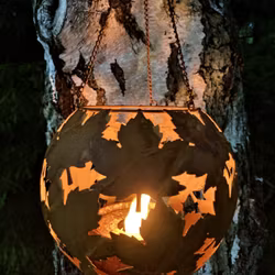 Lönnklot hängande