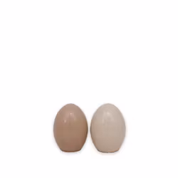 Ägg 2-pack L