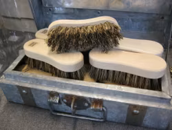 Rotfruktsborste