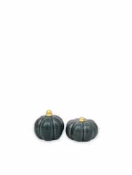 Pumpa liten - petrolgrön