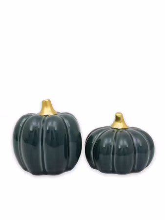 Pumpa stor - petrolgrön