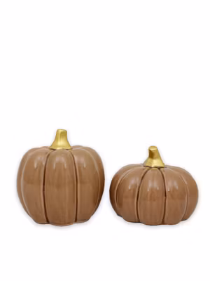 Pumpa stor - nougat