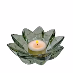 Ljuskopp. blomma - grön